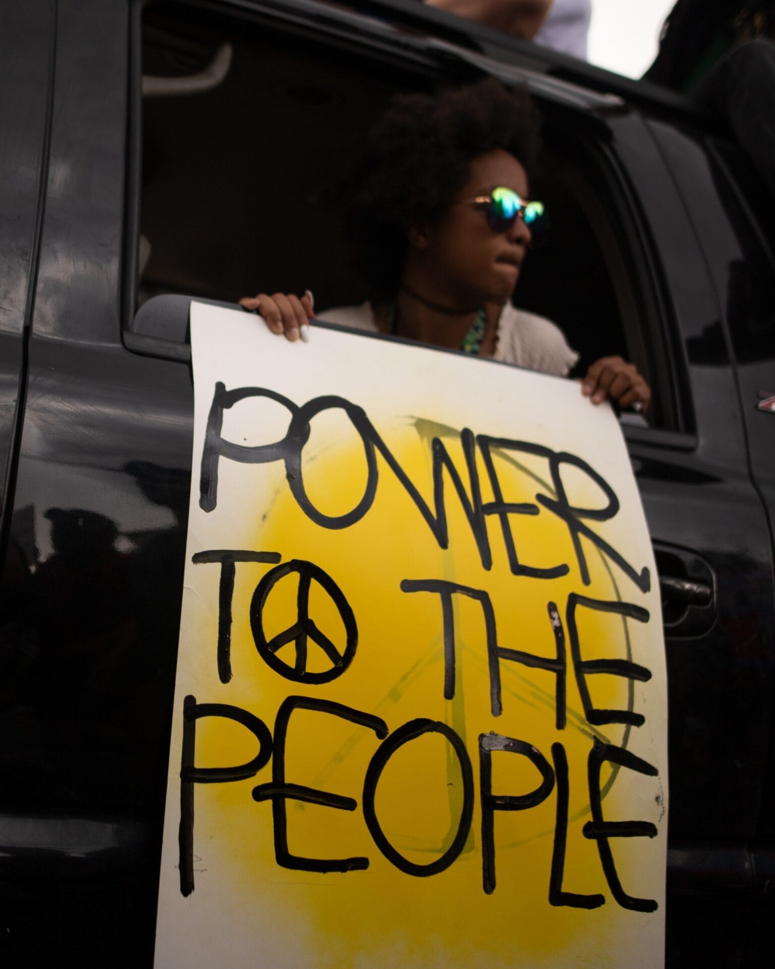 Democracies and Manipulation of Public Opinion - Anketa Polling Platform