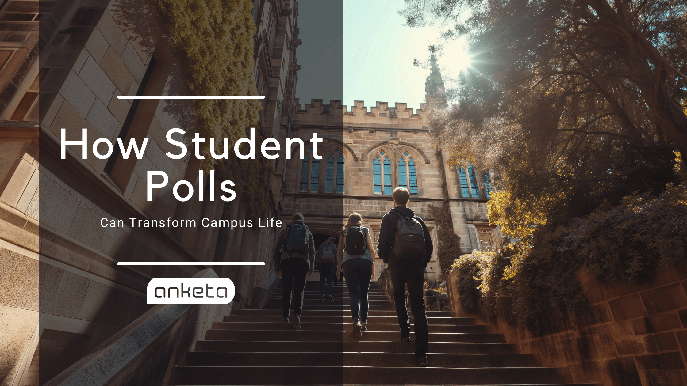 How Student Polls - Anketa Polling Platform