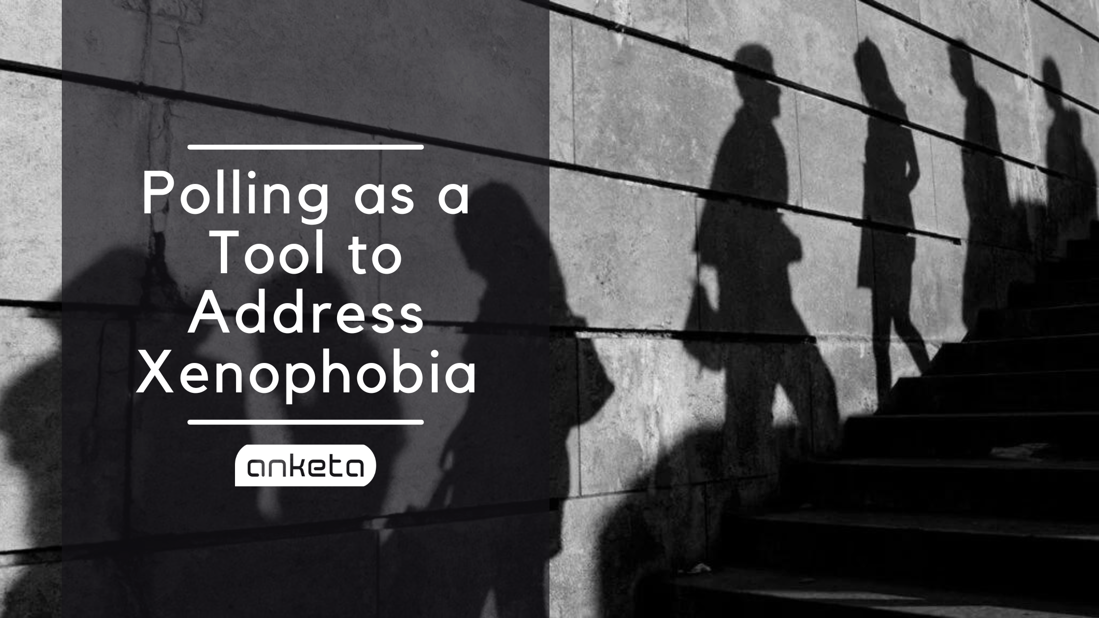 Polling as a Tool to Address Xenophobia - Anketa Social Polling Platform